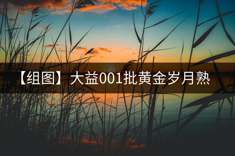【組圖】大益001批黃金歲月熟茶開湯 【組圖】大益001批黃金歲月熟茶開湯