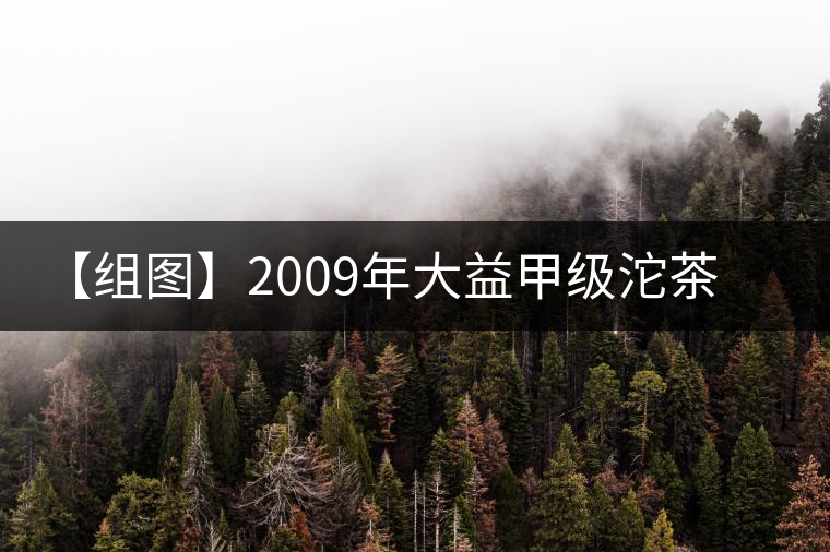 【組圖】2009年大益甲級(jí)沱茶開湯 【組圖】2009年大益甲級(jí)沱茶開湯