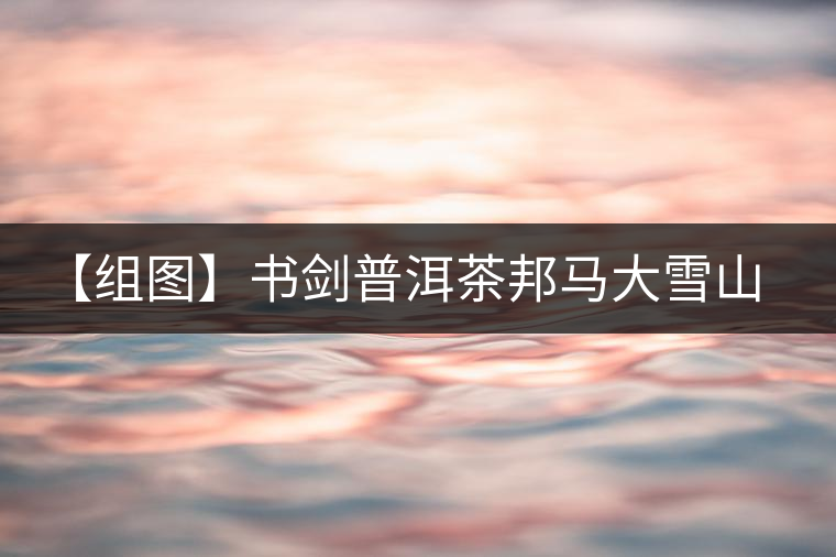 【組圖】書(shū)劍普洱茶邦馬大雪山野生古樹(shù)茶——深山藏韻開(kāi)湯
