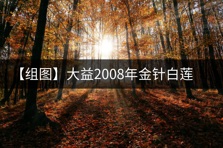 【組圖】大益2008年金針白蓮熟茶開(kāi)湯 【組圖】大益2008年金針白蓮熟茶開(kāi)湯