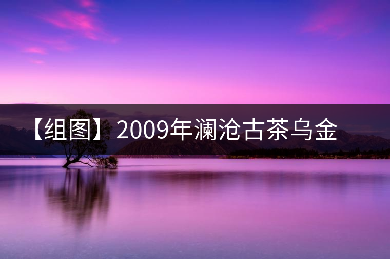 【組圖】2009年瀾滄古茶烏金熟磚開(kāi)湯