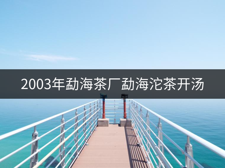 2003年勐海茶廠勐海沱茶開(kāi)湯 2003年勐海茶廠勐海沱茶開(kāi)湯