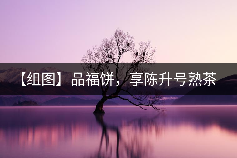 【組圖】品福餅，享陳升號(hào)熟茶滋味
