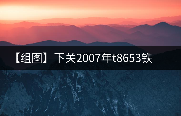 【組圖】下關(guān)2007年t8653鐵餅開湯