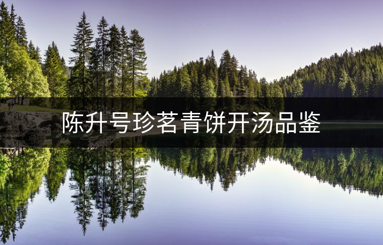 陳升號珍茗青餅開湯品鑒