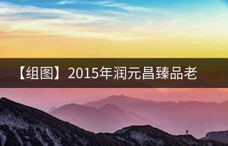 【組圖】2015年潤(rùn)元昌臻品老茶頭開湯 【組圖】2015年潤(rùn)元昌臻品老茶頭開湯