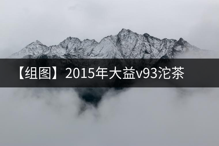 【組圖】2015年大益v93沱茶開湯