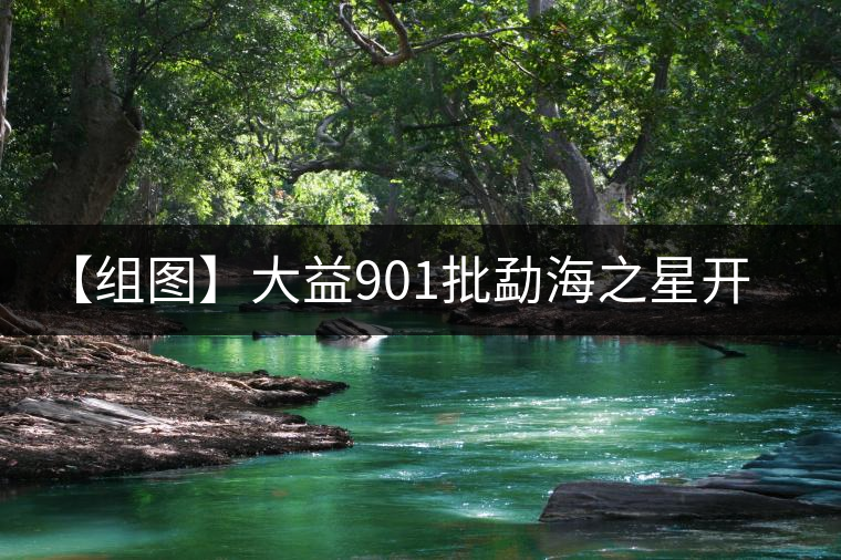 【組圖】大益901批勐海之星開(kāi)湯 【組圖】大益901批勐海之星開(kāi)湯