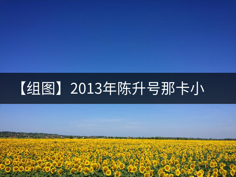 【組圖】2013年陳升號那卡小餅開湯
