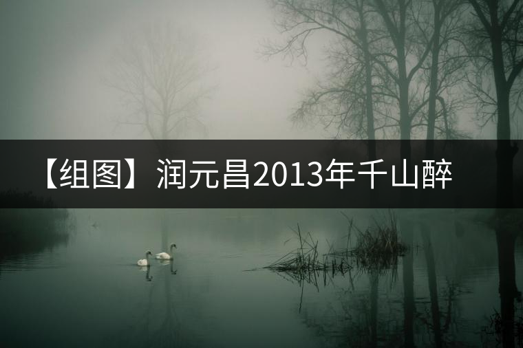 【組圖】潤元昌2013年千山醉喬木餅開湯