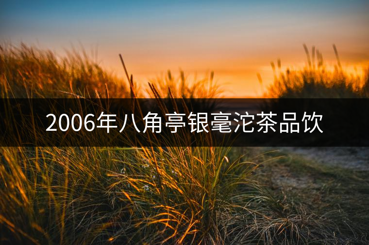 2006年八角亭銀毫沱茶品飲