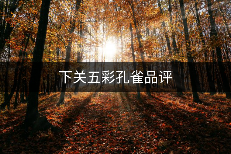 下關(guān)五彩孔雀品評(píng) 下關(guān)五彩孔雀品評(píng)