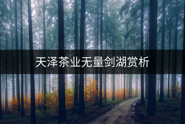 天澤茶業(yè)無(wú)量劍湖賞析