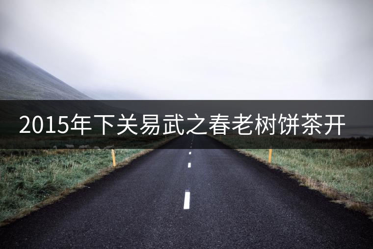 2015年下關(guān)易武之春老樹餅茶開湯