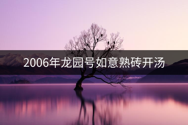 2006年龍園號如意熟磚開湯