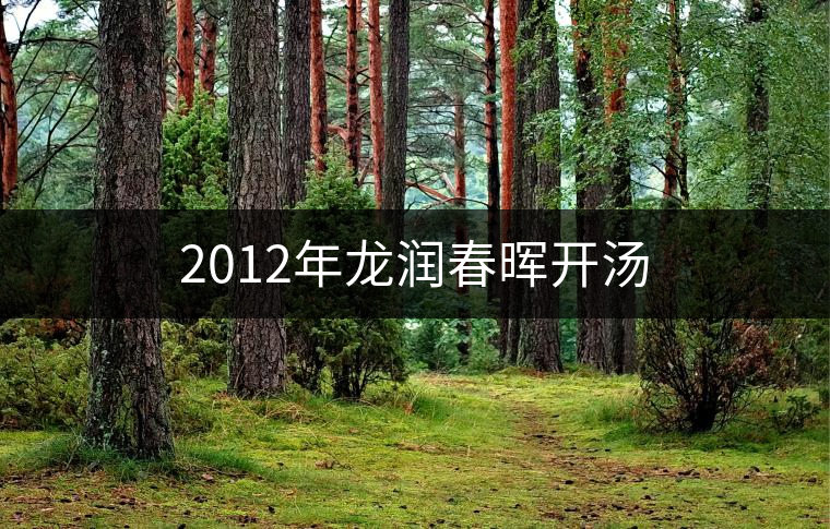 2012年龍潤(rùn)春暉開湯