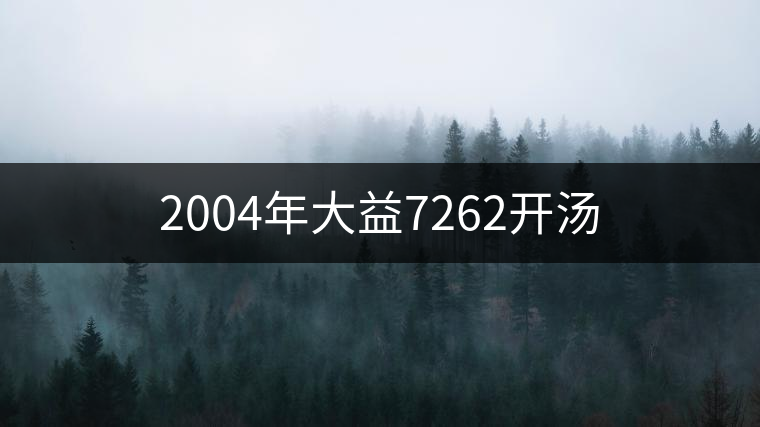 2004年大益7262開湯