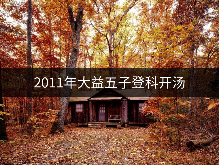 2011年大益五子登科開湯 2011年大益五子登科開湯