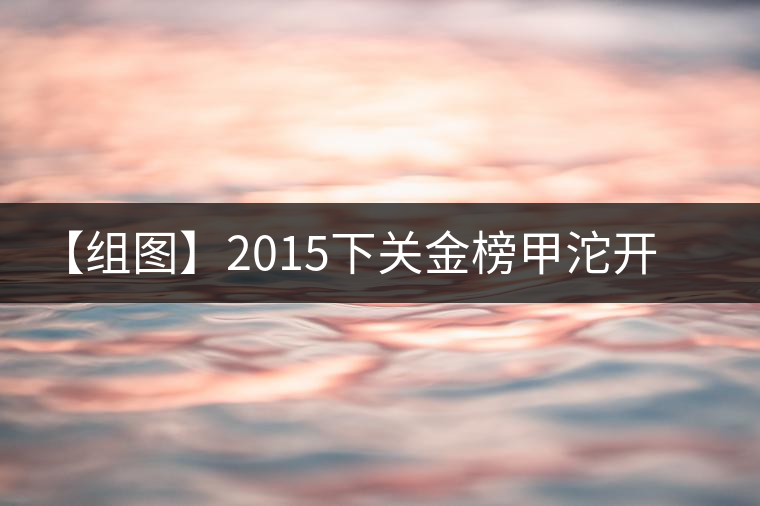 【組圖】2015下關(guān)金榜甲沱開湯