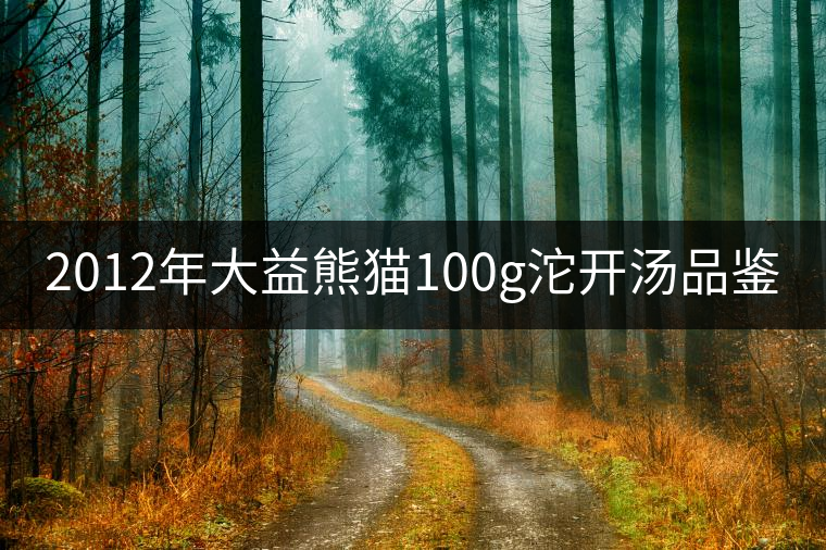 2012年大益熊貓100g沱開湯品鑒