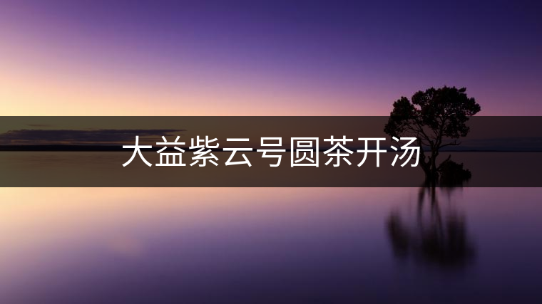 大益紫云號(hào)圓茶開湯 大益紫云號(hào)圓茶開湯