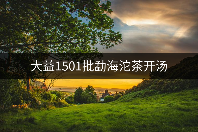 大益1501批勐海沱茶開湯 大益1501批勐海沱茶開湯