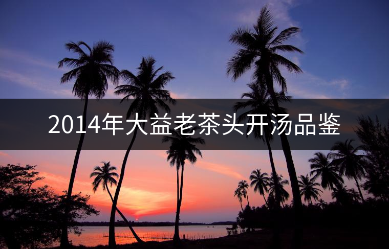 2014年大益老茶頭開湯品鑒 2014年大益老茶頭開湯品鑒