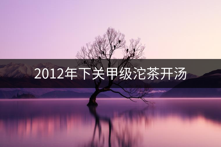 2012年下關(guān)甲級沱茶開湯