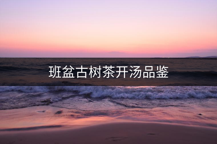 班盆古樹茶開湯品鑒