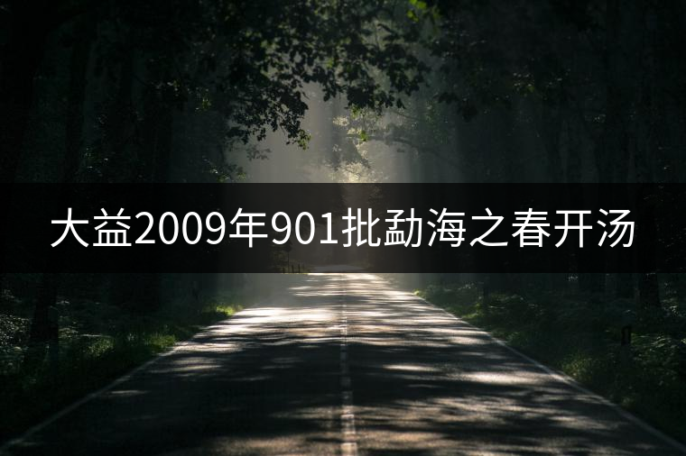 大益2009年901批勐海之春開(kāi)湯 大益2009年901批勐海之春開(kāi)湯