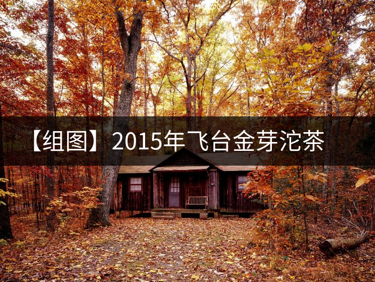 【組圖】2015年飛臺(tái)金芽沱茶開(kāi)湯