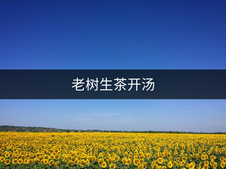老樹生茶開湯