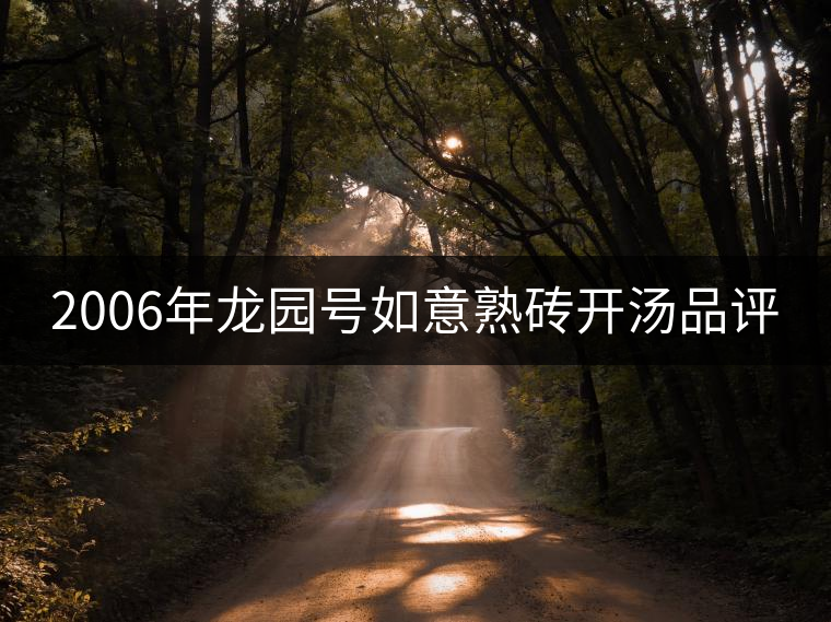 2006年龍園號如意熟磚開湯品評 2006年龍園號如意熟磚開湯品評