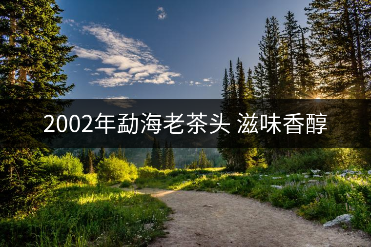 2002年勐海老茶頭 滋味香醇 2002年勐海老茶頭 滋味香醇