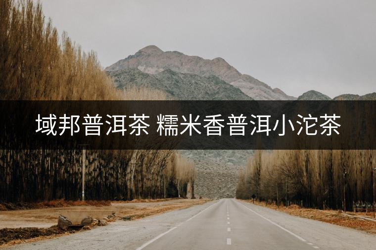 域邦普洱茶 糯米香普洱小沱茶 域邦普洱茶 糯米香普洱小沱茶