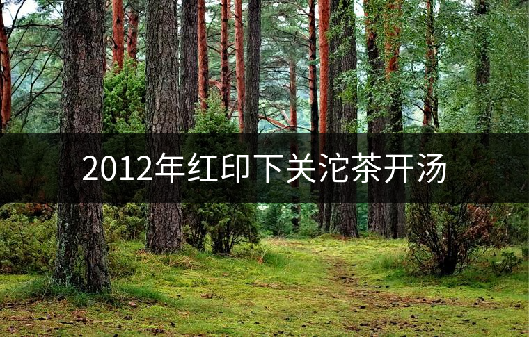 2012年紅印下關(guān)沱茶開(kāi)湯