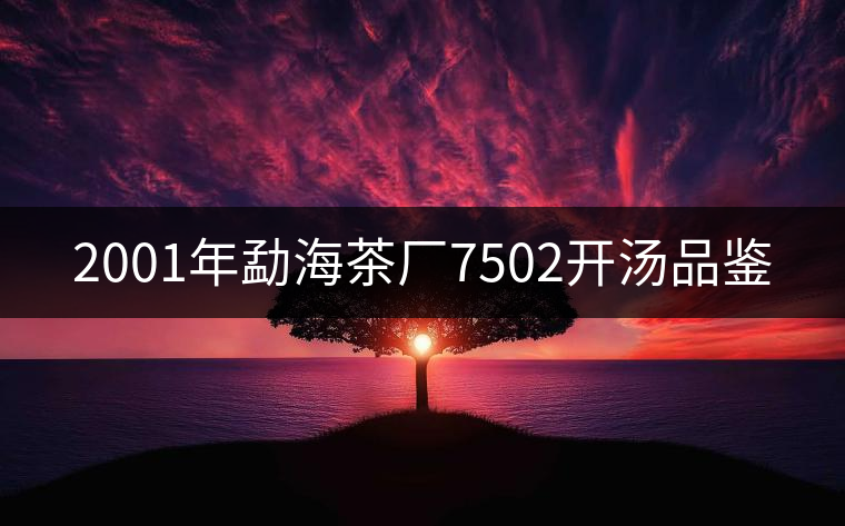 2001年勐海茶廠7502開(kāi)湯品鑒 2001年勐海茶廠7502開(kāi)湯品鑒
