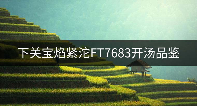 下關(guān)寶焰緊沱FT7683開湯品鑒 下關(guān)寶焰緊沱FT7683開湯品鑒