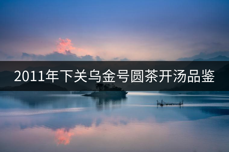 2011年下關烏金號圓茶開湯品鑒