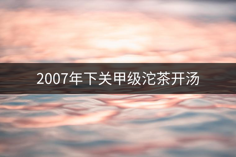 2007年下關(guān)甲級(jí)沱茶開湯