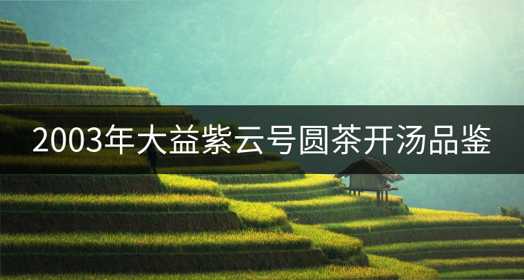 2003年大益紫云號(hào)圓茶開(kāi)湯品鑒