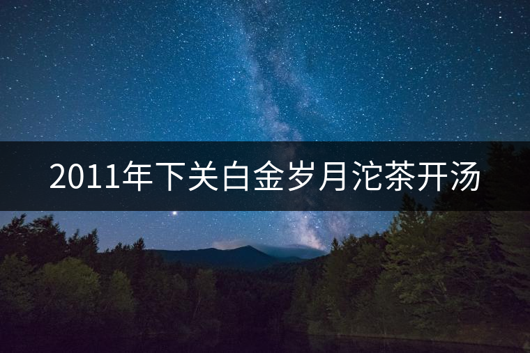 2011年下關(guān)白金歲月沱茶開湯
