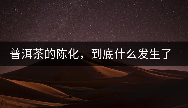 普洱茶的陳化，到底什么發(fā)生了哪些變化？
