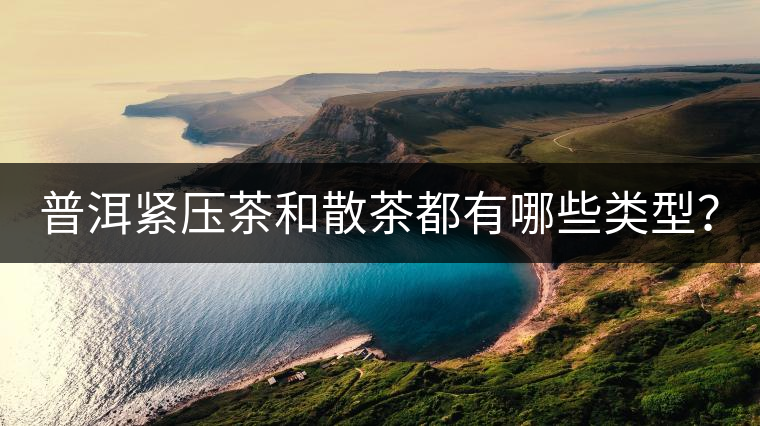 普洱緊壓茶和散茶都有哪些類(lèi)型？
