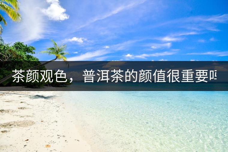 茶顏觀色，普洱茶的顏值很重要嗎？