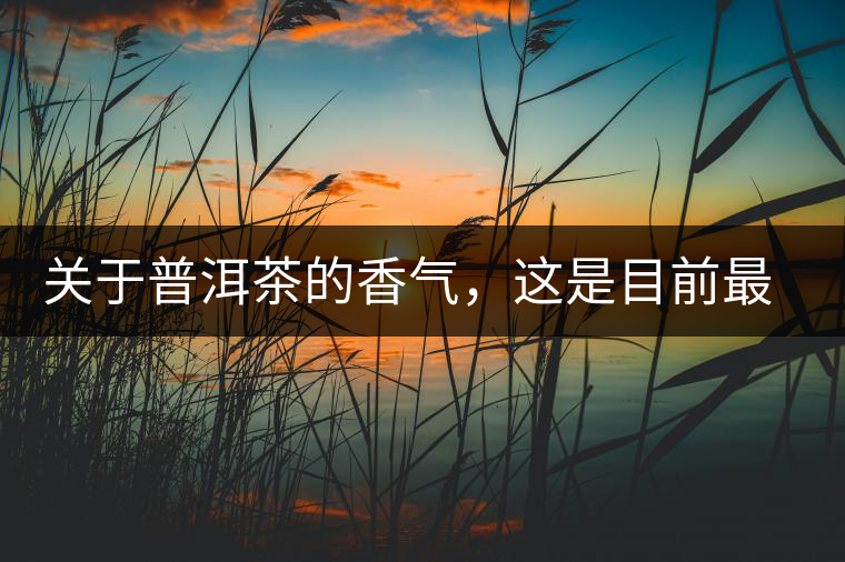 關(guān)于普洱茶的香氣，這是目前最靠譜的解釋