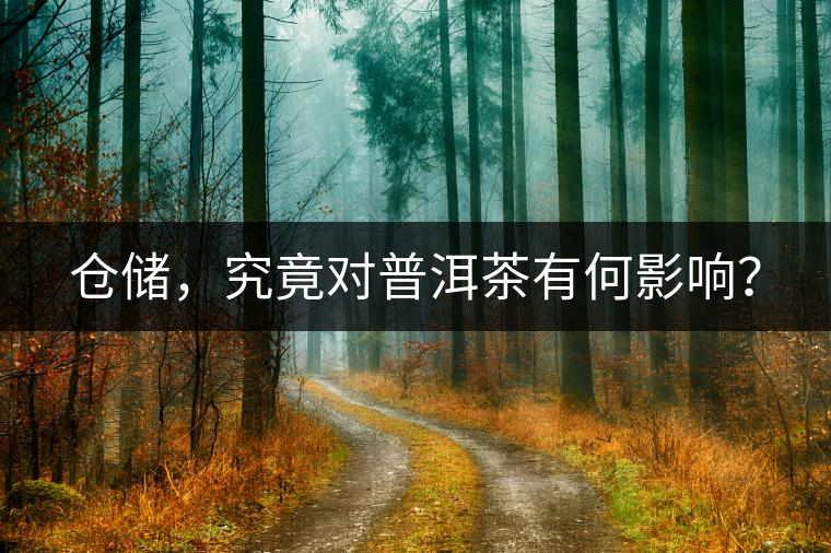 倉儲，究竟對普洱茶有何影響？