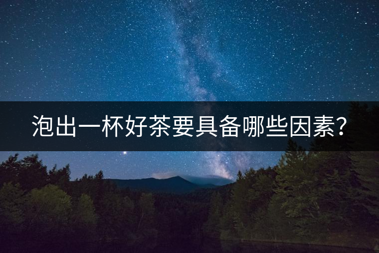 泡出一杯好茶要具備哪些因素？