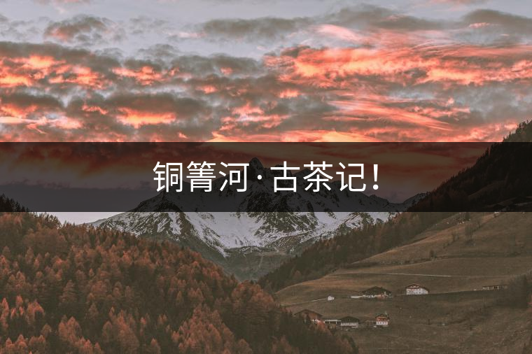 銅箐河·古茶記！