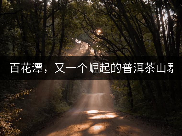 百花潭，又一個崛起的普洱茶山寨！